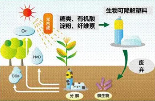 “可降解塑料”不是塑料嗎？